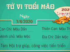 Ảnh bìa bài viết 695534