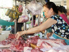 Ảnh bìa bài viết 695913