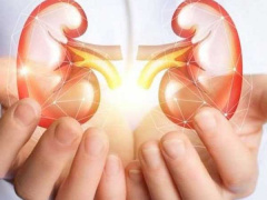 Ảnh bìa bài viết 696267