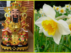 Ảnh bìa bài viết 696304