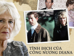 Ảnh bìa bài viết 696393