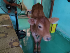 Ảnh bìa bài viết 696731