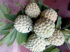 Ảnh bìa bài viết 697161