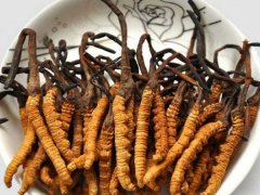Ảnh bìa bài viết 697368