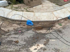 Ảnh bìa bài viết 698821