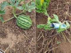 Ảnh bìa bài viết 699754