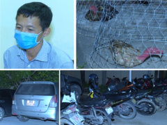 Ảnh bìa bài viết 699997