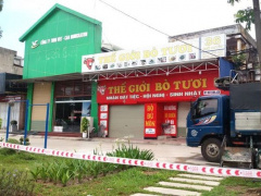 Ảnh bìa bài viết 700024