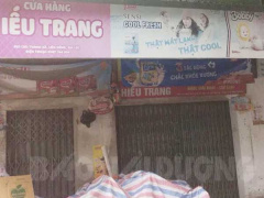 Ảnh bìa bài viết 700275
