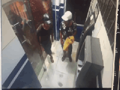 Ảnh bìa bài viết 700442