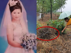 Ảnh bìa bài viết 700718