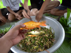 Ảnh bìa bài viết 701184