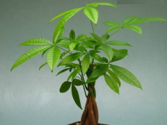 Ảnh bìa bài viết 701199