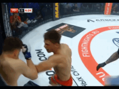 Ảnh bìa bài viết 701736