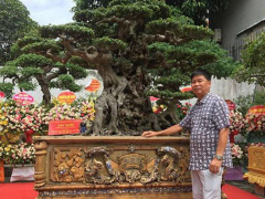 Ảnh bìa bài viết 701683