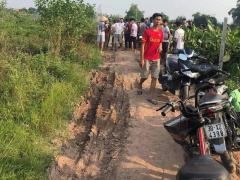 Ảnh bìa bài viết 701950