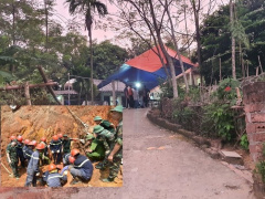 Ảnh bìa bài viết 701942