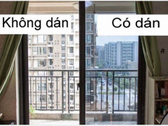 Ảnh bìa bài viết 701890