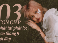 Ảnh bìa bài viết 701989