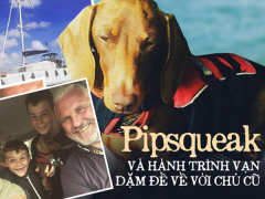 Post cover 702256