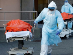 Ảnh bìa bài viết 702478