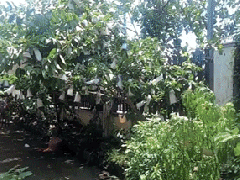 Ảnh bìa bài viết 702686