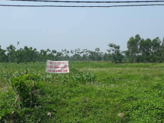 Ảnh bìa bài viết 702601