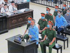 Ảnh bìa bài viết 702930