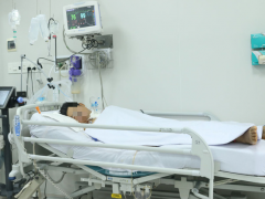 Ảnh bìa bài viết 702945