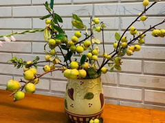 Ảnh bìa bài viết 702834