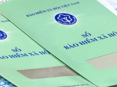 Ảnh bìa bài viết 703369