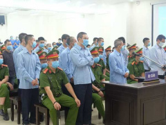 Ảnh bìa bài viết 703544