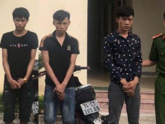 Ảnh bìa bài viết 703766