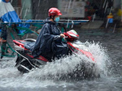 Ảnh bìa bài viết 703855