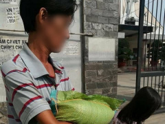 Ảnh bìa bài viết 704009