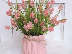 Ảnh bìa bài viết 704241