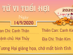 Ảnh bìa bài viết 704237