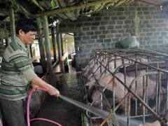 Ảnh bìa bài viết 704406