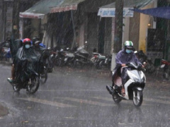Ảnh bìa bài viết 704251