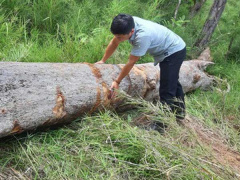Ảnh bìa bài viết 704655