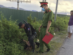 Ảnh bìa bài viết 704501
