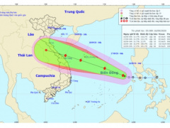 Ảnh bìa bài viết 704735
