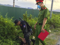 Ảnh bìa bài viết 704751