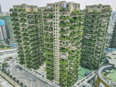 Ảnh bìa bài viết 704822