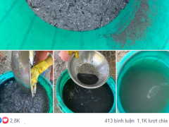 Ảnh bìa bài viết 704938
