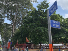 Ảnh bìa bài viết 704973
