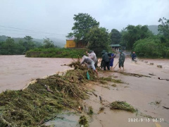 Ảnh bìa bài viết 705242