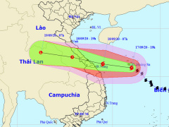 Ảnh bìa bài viết 705077