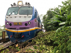 Ảnh bìa bài viết 705158