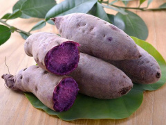 Ảnh bìa bài viết 705762